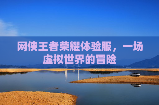 网侠王者荣耀体验服，一场虚拟世界的冒险