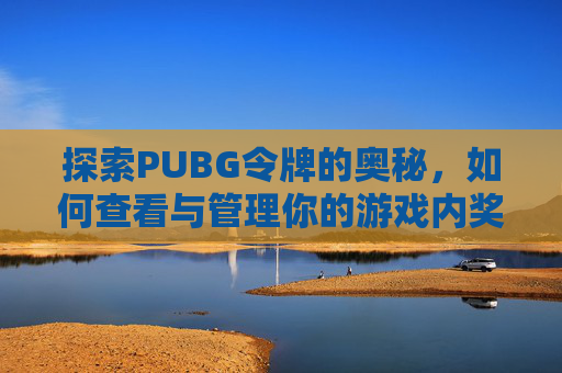 探索PUBG令牌的奥秘，如何查看与管理你的游戏内奖励
