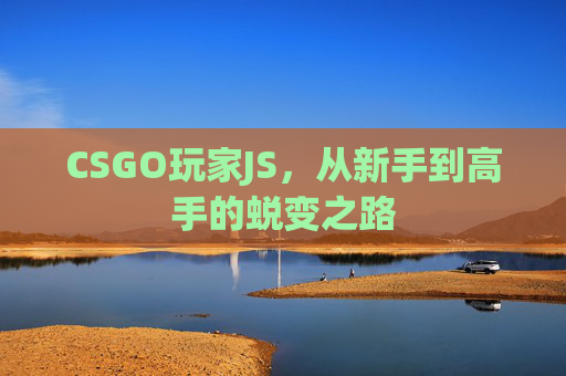 CSGO玩家JS,从新手到高手的蜕变之路 CSGO玩家JS,从新手到高手的蜕变之路