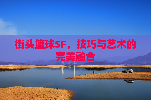 街头篮球SF,技巧与艺术的完美融合 街头篮球SF,技巧与艺术的完美融合
