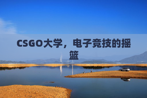 CSGO大学,电子竞技的摇篮 CSGO大学,电子竞技的摇篮