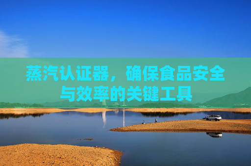 蒸汽认证器,确保食品安全与效率的关键工具 蒸汽认证器,确保食品安全与效率的关键工具
