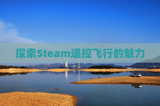 探索Steam遥控飞行的魅力
