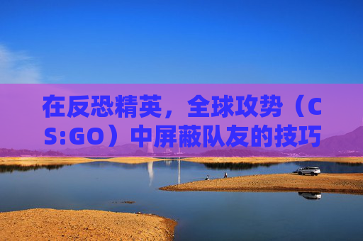 在反恐精英,全球攻势(CS:GO)中屏蔽队友的技巧与策略 在反恐精英,全球攻势(CS:GO)中屏蔽队友的技巧与策略