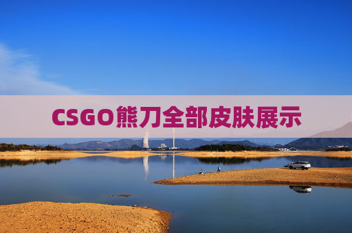 CSGO熊刀全部皮肤展示 CSGO熊刀全部皮肤展示