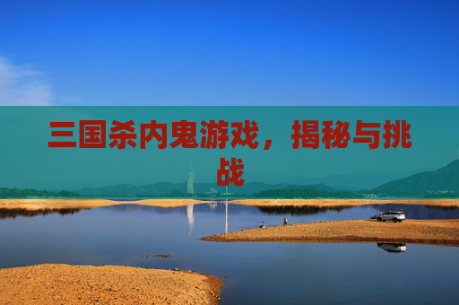 三国杀内鬼游戏，揭秘与挑战