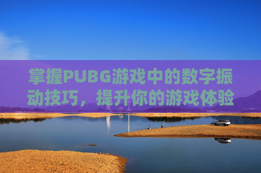 掌握PUBG游戏中的数字振动技巧，提升你的游戏体验