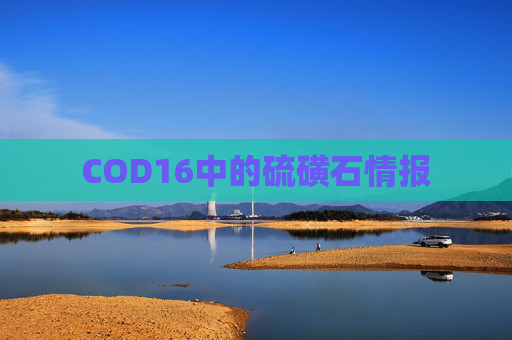 COD16中的硫磺石情报 COD16中的硫磺石情报