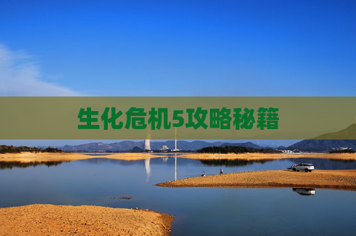 生化危机5攻略秘籍 生化危机5攻略秘籍