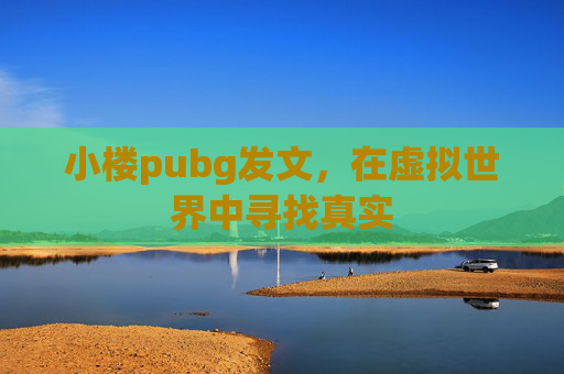 小楼pubg发文,在虚拟世界中寻找真实 小楼pubg发文,在虚拟世界中寻找真实