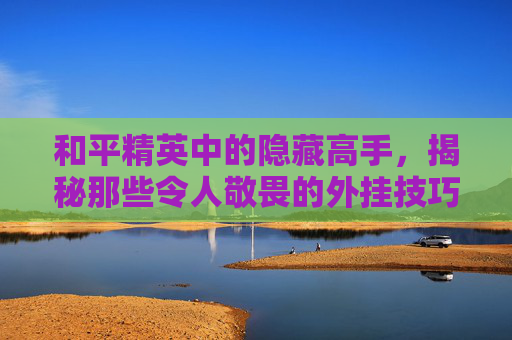 和平精英中的隐藏高手,揭秘那些令人敬畏的外挂技巧 和平精英中的隐藏高手,揭秘那些令人敬畏的外挂技巧