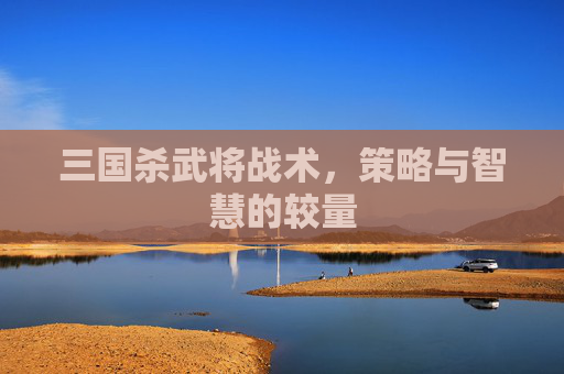 三国杀武将战术,策略与智慧的较量 三国杀武将战术,策略与智慧的较量