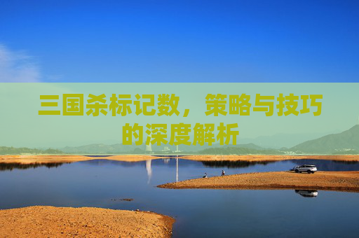 三国杀标记数,策略与技巧的深度解析 三国杀标记数,策略与技巧的深度解析
