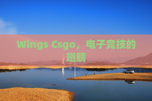 Wings Csgo,电子竞技的翅膀 Wings Csgo,电子竞技的翅膀