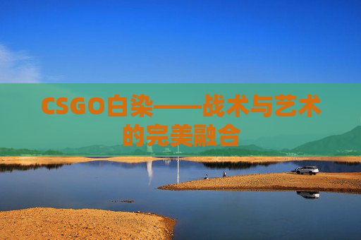CSGO白染——战术与艺术的完美融合 CSGO白染——战术与艺术的完美融合