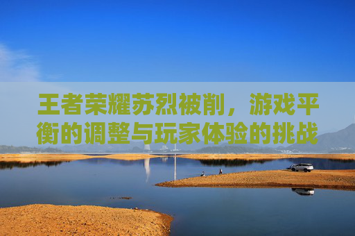 王者荣耀苏烈被削,游戏平衡的调整与玩家体验的挑战 王者荣耀苏烈被削,游戏平衡的调整与玩家体验的挑战