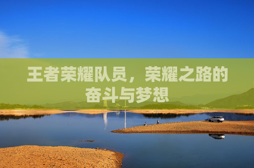 王者荣耀队员,荣耀之路的奋斗与梦想 王者荣耀队员,荣耀之路的奋斗与梦想