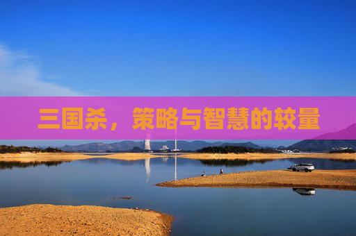 三国杀,策略与智慧的较量 三国杀,策略与智慧的较量