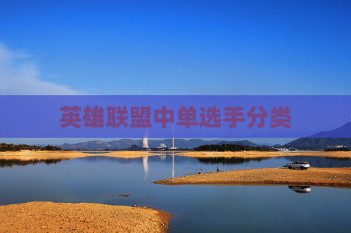 英雄联盟中单选手分类 英雄联盟中单选手分类