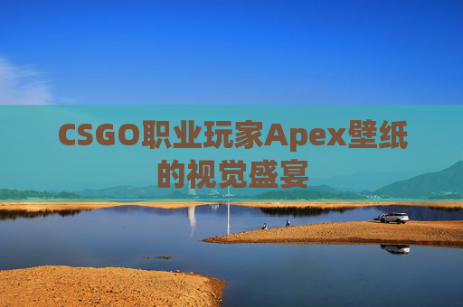 CSGO职业玩家Apex壁纸的视觉盛宴 CSGO职业玩家Apex壁纸的视觉盛宴