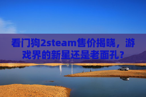 看门狗2steam售价揭晓,游戏界的新星还是老面孔? 看门狗2steam售价揭晓,游戏界的新星还是老面孔?