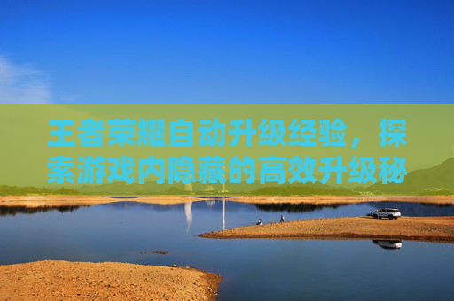 王者荣耀自动升级经验,探索游戏内隐藏的高效升级秘诀 王者荣耀自动升级经验,探索游戏内隐藏的高效升级秘诀