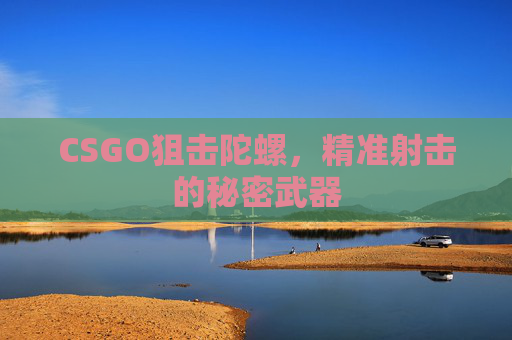 CSGO狙击陀螺,精准射击的秘密武器 CSGO狙击陀螺,精准射击的秘密武器