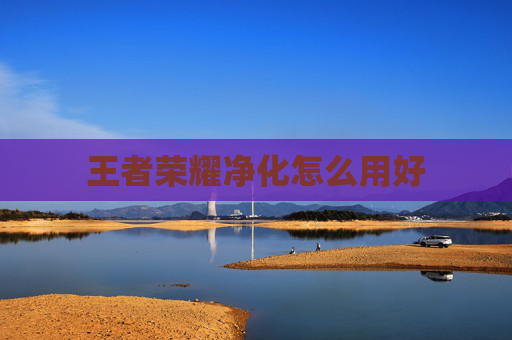 王者荣耀净化怎么用好 王者荣耀净化怎么用好