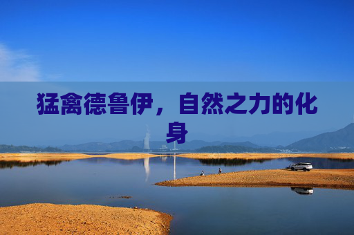 猛禽德鲁伊,自然之力的化身 猛禽德鲁伊,自然之力的化身