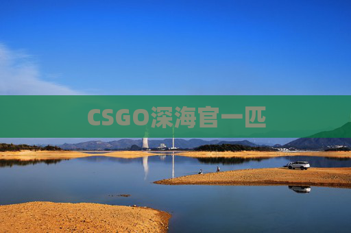 CSGO深海官一匹 CSGO深海官一匹