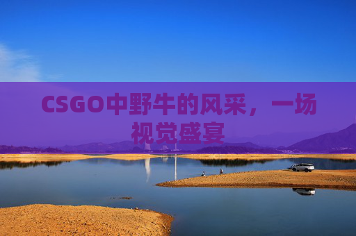 CSGO中野牛的风采,一场视觉盛宴 CSGO中野牛的风采,一场视觉盛宴