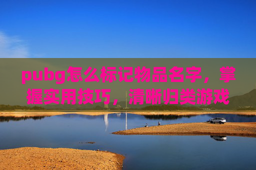 pubg怎么标记物品名字,掌握实用技巧,清晰归类游戏资源 pubg怎么标记物品名字,掌握实用技巧,清晰归类游戏资源