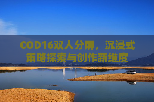 COD16双人分屏,沉浸式策略探索与创作新维度 COD16双人分屏,沉浸式策略探索与创作新维度
