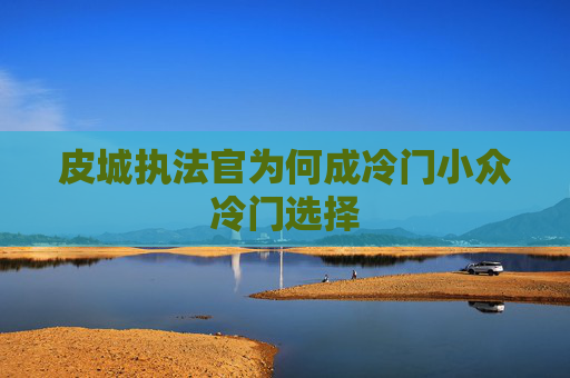 皮城执法官为何成冷门小众冷门选择