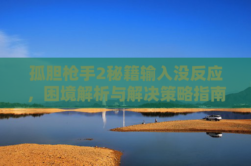 孤胆枪手2秘籍输入没反应，困境解析与解决策略指南
