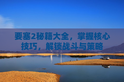 要塞2秘籍大全，掌握核心技巧，解锁战斗与策略