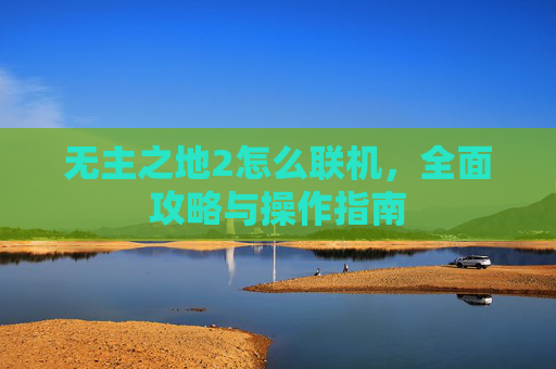 无主之地2怎么联机，全面攻略与操作指南