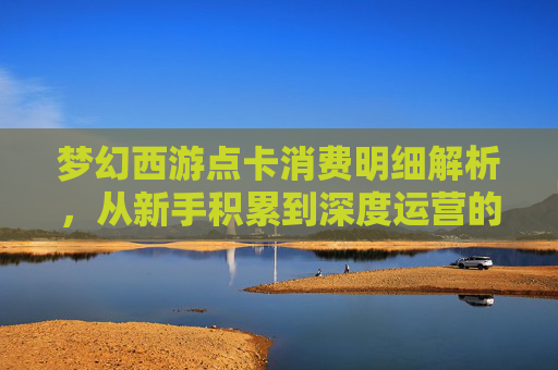 梦幻西游点卡消费明细解析,从新手积累到深度运营的完整路径 梦幻西游点卡消费明细解析,从新手积累到深度运营的完整路径
