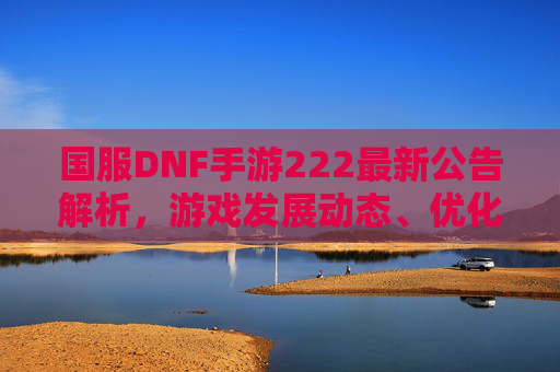 国服DNF手游222最新公告解析,游戏发展动态、优化方向与未来展望 国服DNF手游222最新公告解析,游戏发展动态、优化方向与未来展望