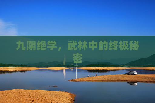 九阴绝学,武林中的终极秘密 九阴绝学,武林中的终极秘密