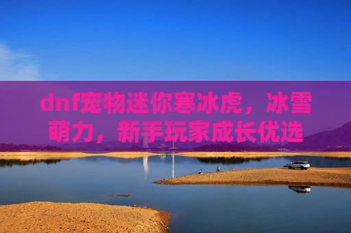 dnf宠物迷你寒冰虎,冰雪萌力,新手玩家成长优选 dnf宠物迷你寒冰虎,冰雪萌力,新手玩家成长优选