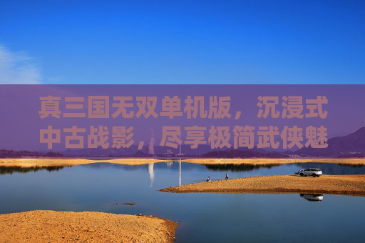真三国无双单机版，沉浸式中古战影，尽享极简武侠魅力