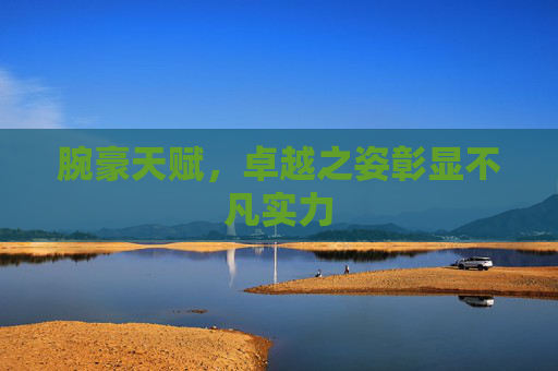 腕豪天赋,卓越之姿彰显不凡实力 腕豪天赋,卓越之姿彰显不凡实力