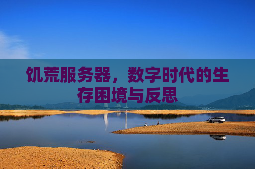 饥荒服务器，数字时代的生存困境与反思