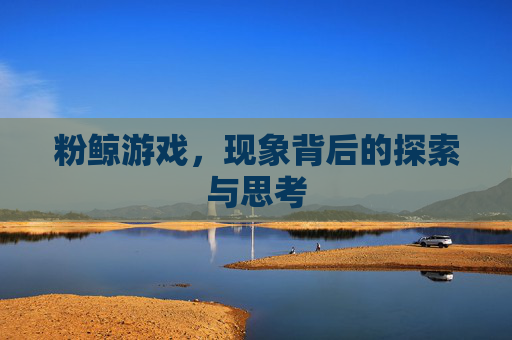 粉鲸游戏,现象背后的探索与思考 粉鲸游戏,现象背后的探索与思考