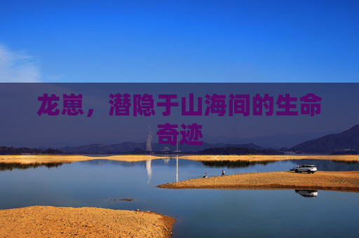 龙崽,潜隐于山海间的生命奇迹 龙崽,潜隐于山海间的生命奇迹