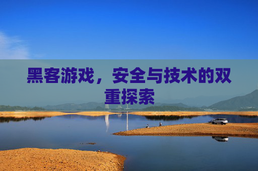 黑客游戏，安全与技术的双重探索