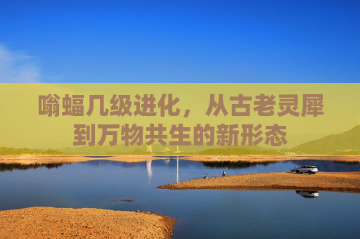 嗡蝠几级进化,从古老灵犀到万物共生的新形态 嗡蝠几级进化,从古老灵犀到万物共生的新形态