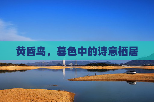 黄昏鸟,暮色中的诗意栖居 黄昏鸟,暮色中的诗意栖居