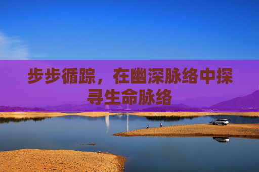 步步循踪,在幽深脉络中探寻生命脉络 步步循踪,在幽深脉络中探寻生命脉络